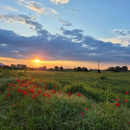 Kerkini Houses شقة بحيرة كيركيني