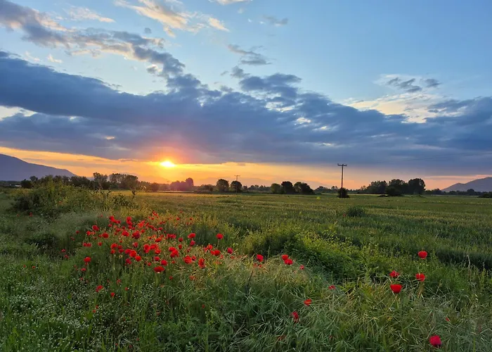 Kerkini Houses Lägenhet Kerkini